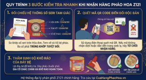 Quy trình kiểm tra pháo hoa thật & giả