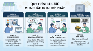 Quy định pháo hoa mới nhất